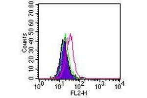 Image no. 2 for anti-RAR-Related Orphan Receptor C (RORC) (AA 1-50) antibody (ABIN959913) (RORC Antikörper  (AA 1-50))