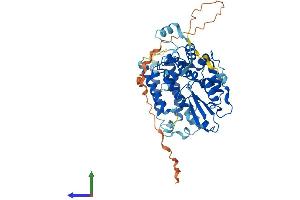 Protein Structure (PS) image for Cbl proto-oncogene C (CBLC) (AA 1-474) protein (His tag) (ABIN7553035)