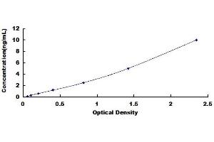 ADAM Metallopeptidase Domain 10 (ADAM10) ELISA Kit