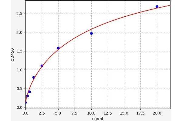 SLC25A20 ELISA Kit