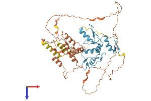 BCL6B Protein (AA 1-479) (His tag)