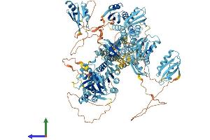 Protein Structure (PS) image for ATPase, Cu++ Transporting, beta Polypeptide (ATP7B) (AA 1-1462) protein (His tag) (ABIN7563992)