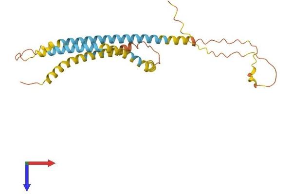 SPATA9 Protein (AA 1-252) (His tag)