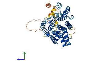 Protein Structure (PS) image for Prenyl (Decaprenyl) Diphosphate Synthase, Subunit 2 (PDSS2) (AA 1-399) protein (His tag) (ABIN7547092)