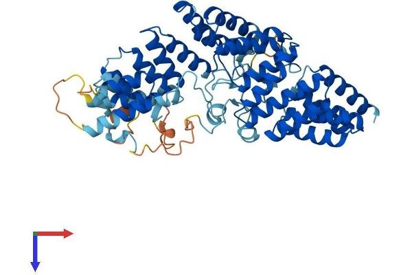 TTC8 Protein (AA 1-541) (His tag)