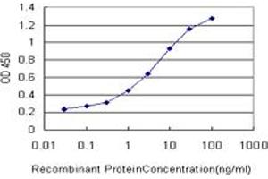 Detection limit for recombinant GST tagged ATG5 is approximately 0. (ATG5 Antikörper  (AA 176-275))