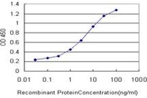 Detection limit for recombinant GST tagged ATG5 is approximately 0.