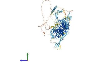 Protein Structure (PS) image for Sema Domain, Seven Thrombospondin Repeats (Type 1 and Type 1-Like), Transmembrane Domain (TM) and Short Cytoplasmic Domain, (Semaphorin) 5B (SEMA5B) (AA 1-1151) protein (His tag) (ABIN7555437)