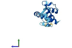 AlphaFold protein structure predicition of Human Recombinant CNFN Protein, UniprotID Q9BYD5