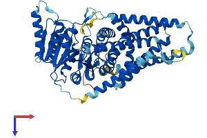 HAS2 Protein (AA 1-552) (His tag)