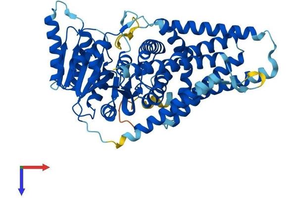 HAS2 Protein (AA 1-552) (His tag)