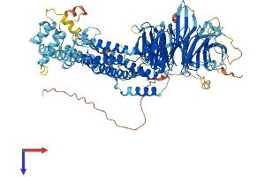 ANAPC4 Protein (AA 1-808) (His tag)