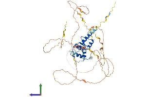 Protein Structure (PS) image for ArfGAP with FG Repeats 2 (AGFG2) (AA 1-481) protein (His tag) (ABIN7551912)