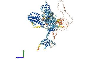 AlphaFold protein structure predicition of Mouse Recombinant Rasgrf2 Protein, UniprotID P70392 (Ras Protein-Specific Guanine Nucleotide-Releasing Factor 2 (RASGRF2) (AA 1-1189) protein (His tag))