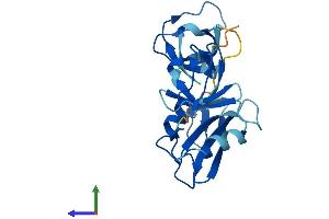 Protein Structure (PS) image for Growth Factor Receptor-Bound Protein 2 (GRB2) (AA 1-217) protein (His tag) (ABIN7548086)