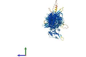 Protein Structure (PS) image for Janus Kinase 1 (JAK1) (AA 1-1153) protein (His tag) (ABIN7563415)