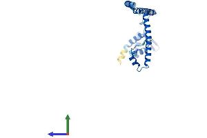 AlphaFold protein structure predicition of Mouse Recombinant Psmc3ip Protein, UniprotID O35047