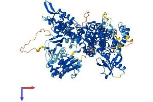 RAPGEF4 Protein (AA 1-1011) (His tag)