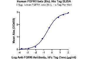 Immobilized Human FGFR1 beta (IIIc), His Tag at 5 μg/mL (100 μL/Well) on the plate.