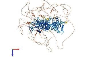 RAPGEF2 Protein (AA 1-1496) (His tag)