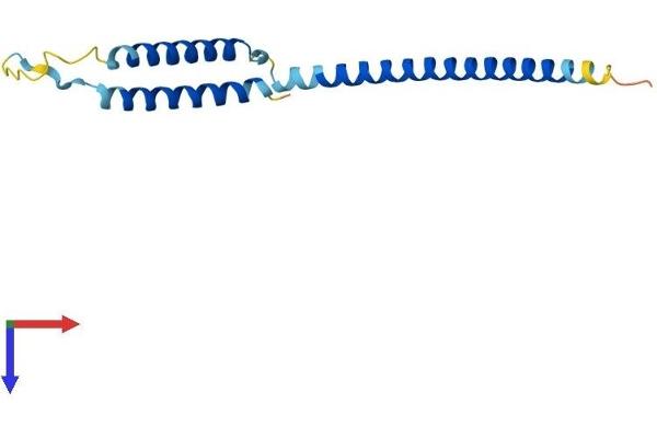 MED21 Protein (AA 1-144) (His tag)