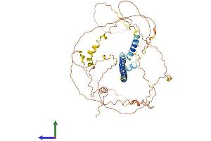Protein Structure (PS) image for CAMP Responsive Element Binding Protein 3-Like 2 (CREB3L2) (AA 1-520) protein (His tag) (ABIN7553541)