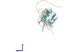 AlphaFold protein structure predicition of Human Recombinant ZNF283 Protein, UniprotID Q8N7M2
