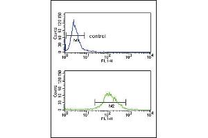 TAT Antibody (Center) (ABIN653486 and ABIN2842905) flow cytometry analysis of K562 cells (bottom histogram) compared to a negative control cell (top histogram). (Tat (AA 279-306) Antikörper)