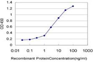 Detection limit for recombinant GST tagged IL8 is approximately 0. (IL-8 Antikörper  (AA 21-99))