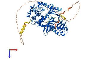 PLK3 Protein (AA 1-631) (His tag)