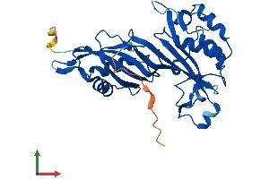 Protein Structure (PS) image for Pseudouridylate Synthase-Like 1 (PUSL1) (AA 1-303) protein (His tag) (ABIN7551114)