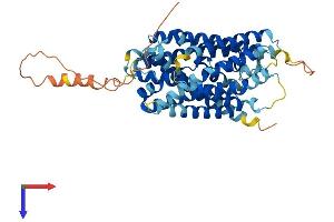 SLC38A1 Protein (AA 1-485) (His tag)