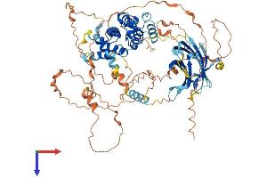 SYDE1 Protein (AA 1-735) (His tag)
