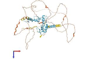 GLIS2 Protein (AA 1-521) (His tag)