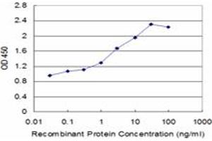 Detection limit for recombinant GST tagged SLC14A2 is approximately 1ng/ml as a capture antibody. (Solute Carrier Family 14 (Urea Transporter, Kidney) Member 2 (SLC14A2) (AA 40-128) Antikörper)