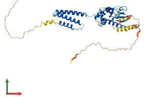 Protein Structure (PS) image for Blood Vessel Epicardial Substance (BVES) (AA 1-360) protein (His tag) (ABIN7555049)