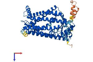 ZMPSTE24 Protein (AA 1-475) (His tag)