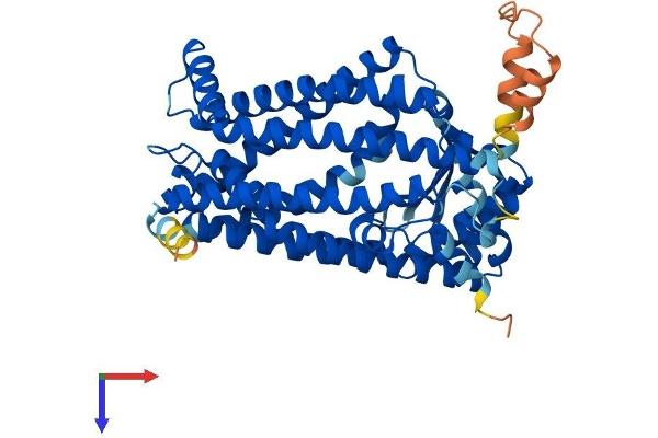 ZMPSTE24 Protein (AA 1-475) (His tag)