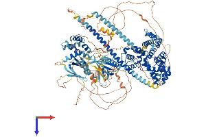 TBC1D1 Protein (AA 1-1255) (His tag)