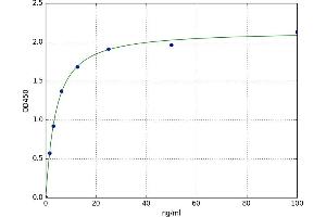 A typical standard curve (Talin ELISA Kit)