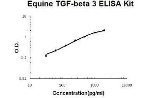 Horse equine TGF-beta 3 PicoKine ELISA Kit standard curve (TGFB3 ELISA Kit)