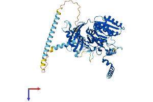CSGALNACT1 Protein (AA 1-530) (His tag)