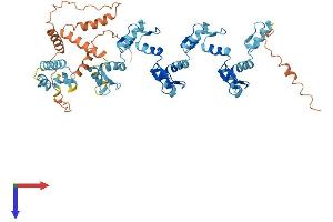 ZNF100 Protein (AA 1-542) (His tag)