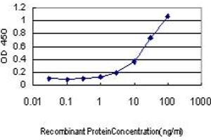 Detection limit for recombinant GST tagged MUC5AC is approximately 3ng/ml as a capture antibody. (MUC5AC Antikörper  (AA 351-450))