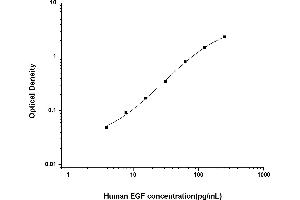 Epidermal Growth Factor (EGF) ELISA Kit