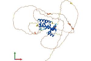 AlphaFold protein structure predicition of Mouse Recombinant Pou2f3 Protein, UniprotID P31362