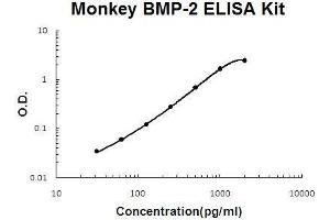 Monkey Primate BMP-2 PicoKine ELISA Kit standard curve