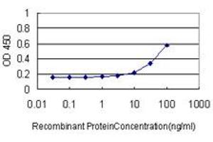 Detection limit for recombinant GST tagged MKNK1 is approximately 3ng/ml as a capture antibody. (MKNK1 Antikörper  (AA 1-465))