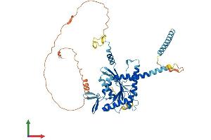 Protein Structure (PS) image for Septin 4 (SEPT4) (AA 1-478) protein (His tag) (ABIN7545937)