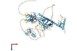 ANKZF1 Protein (AA 1-748) (His tag)